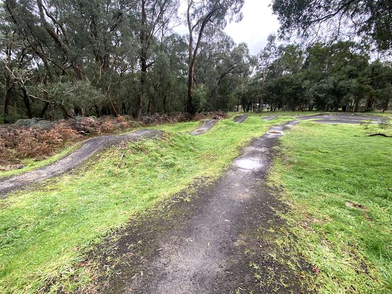 Forrest Mountain Bike Trails