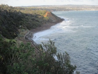 Fossil Beach (Mornington)