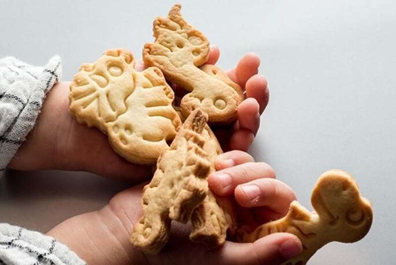Fossil Cookies and Reading Party