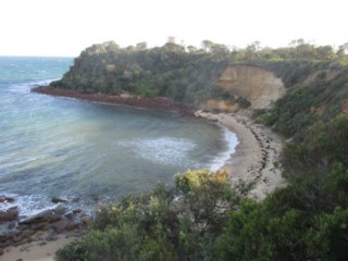 Fosters Beach (Mornington)