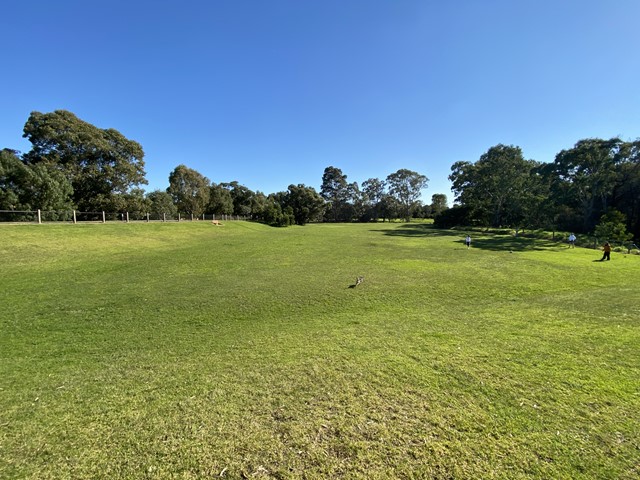 Fotheringham Reserve Dog Off Leash Area (Dandenong)