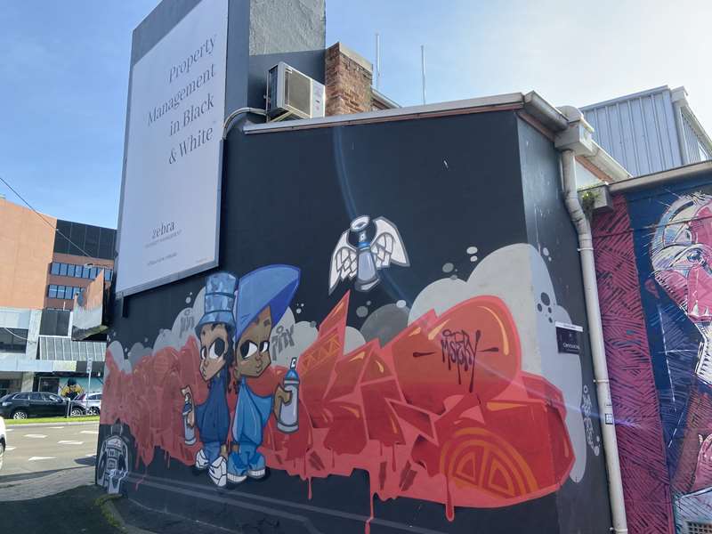 Frankston Street and Public Art