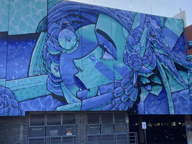 Frankston Street and Public Art