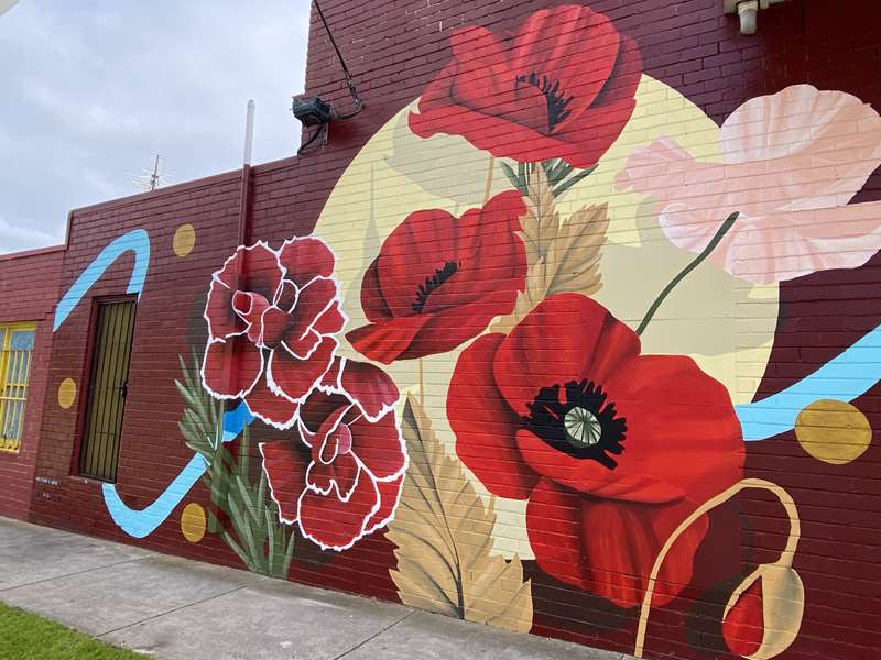 Frankston Street and Public Art