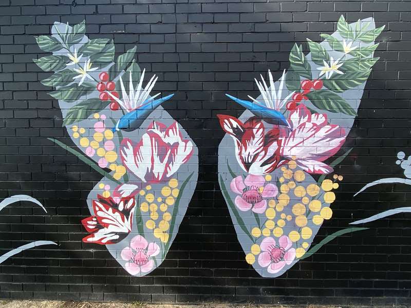 Frankston Street and Public Art