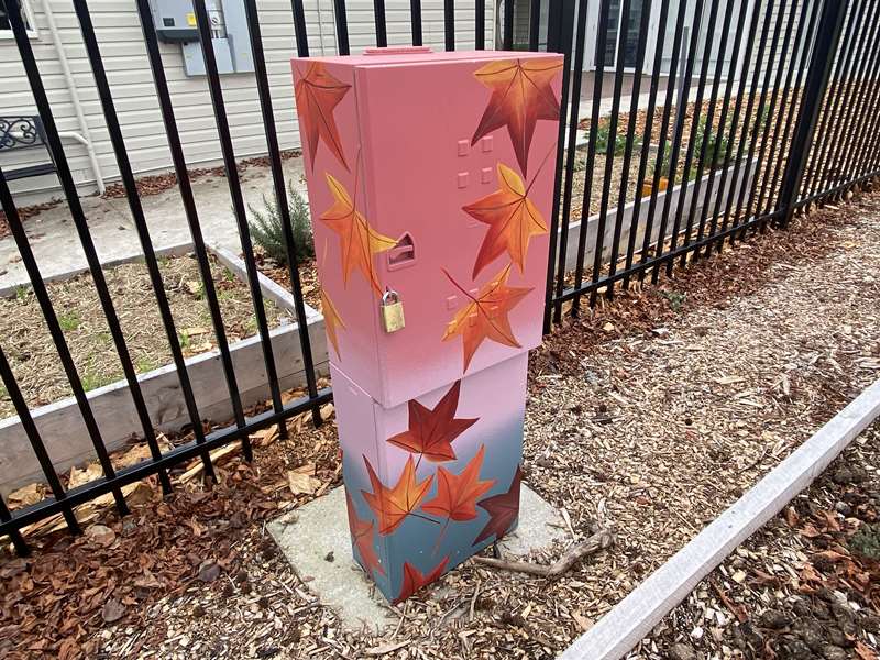 Frankston Street and Public Art