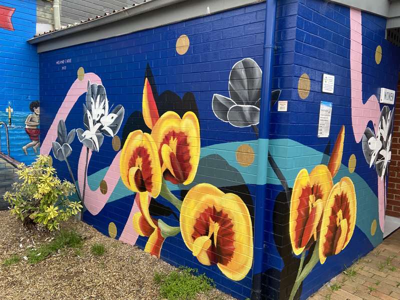 Frankston Street and Public Art
