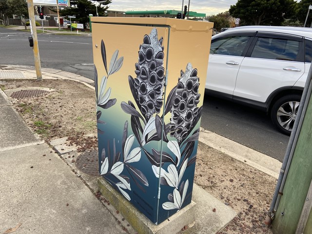 Frankston Street and Public Art