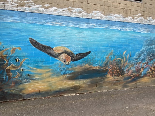 Frankston Street Art Murals