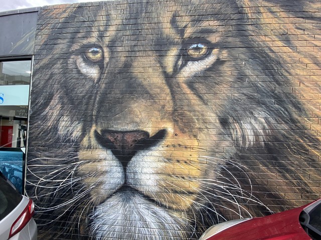 Frankston Street Art Murals