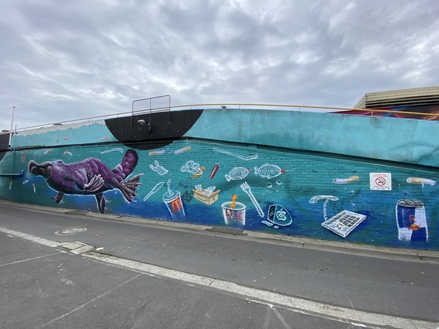 Frankston Street Art Murals