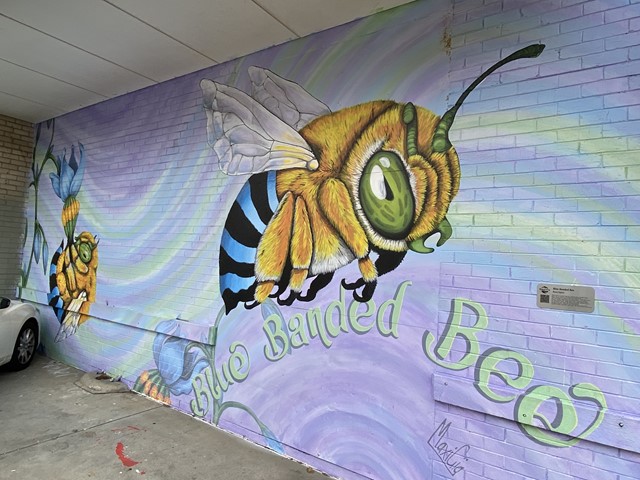 Frankston Street Art Murals