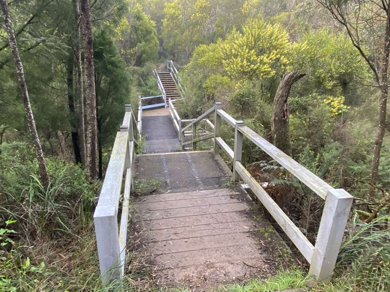 Frankston Nature Conservation Reserve (Frankston South)