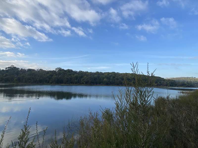 Frankston Nature Conservation Reserve (Frankston South)