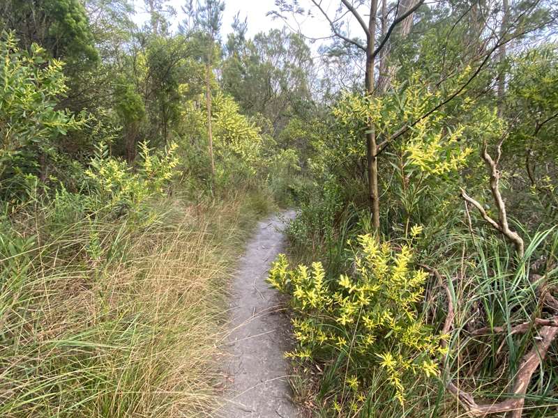 Frankston Nature Conservation Reserve (Frankston South)