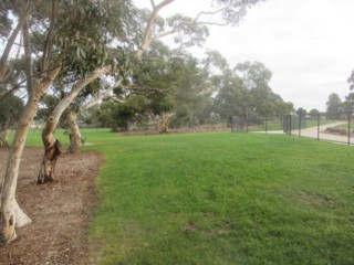 Fraser Street Reserve Fenced Dog Park (Melton South)