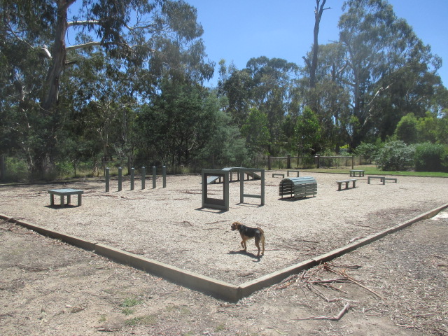 Fenced or dog off-leash areas