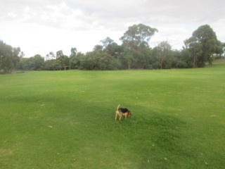 Freeway Reserve Dog Off Leash Area (Mulgrave)