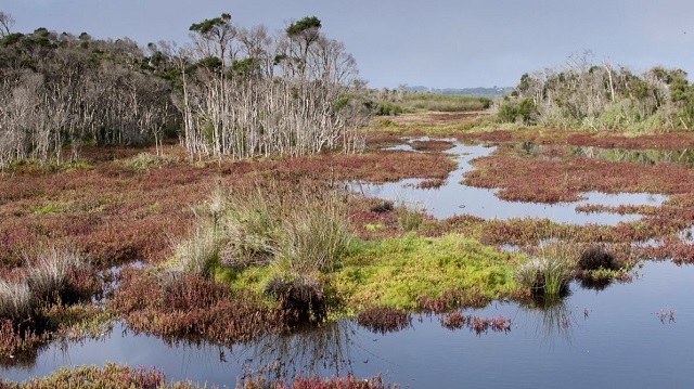 French Island National Park