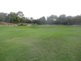 Fritsch Holzer Park Dog Off Leash Area (Hawthorn East)