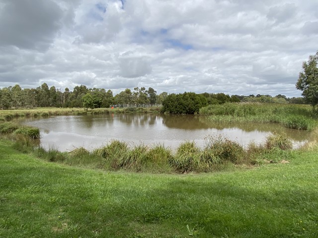 Frog Hollow Reserve (Endeavour Hills)