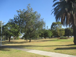 G.E. Robinson Park Dog Off Leash Area (Reservoir)