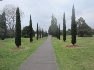 Garden City Reserve Dog Off Leash Area (Port Melbourne)