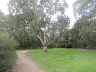 Gardiners Creek Reserve Dog Off Leash Area (Burwood)