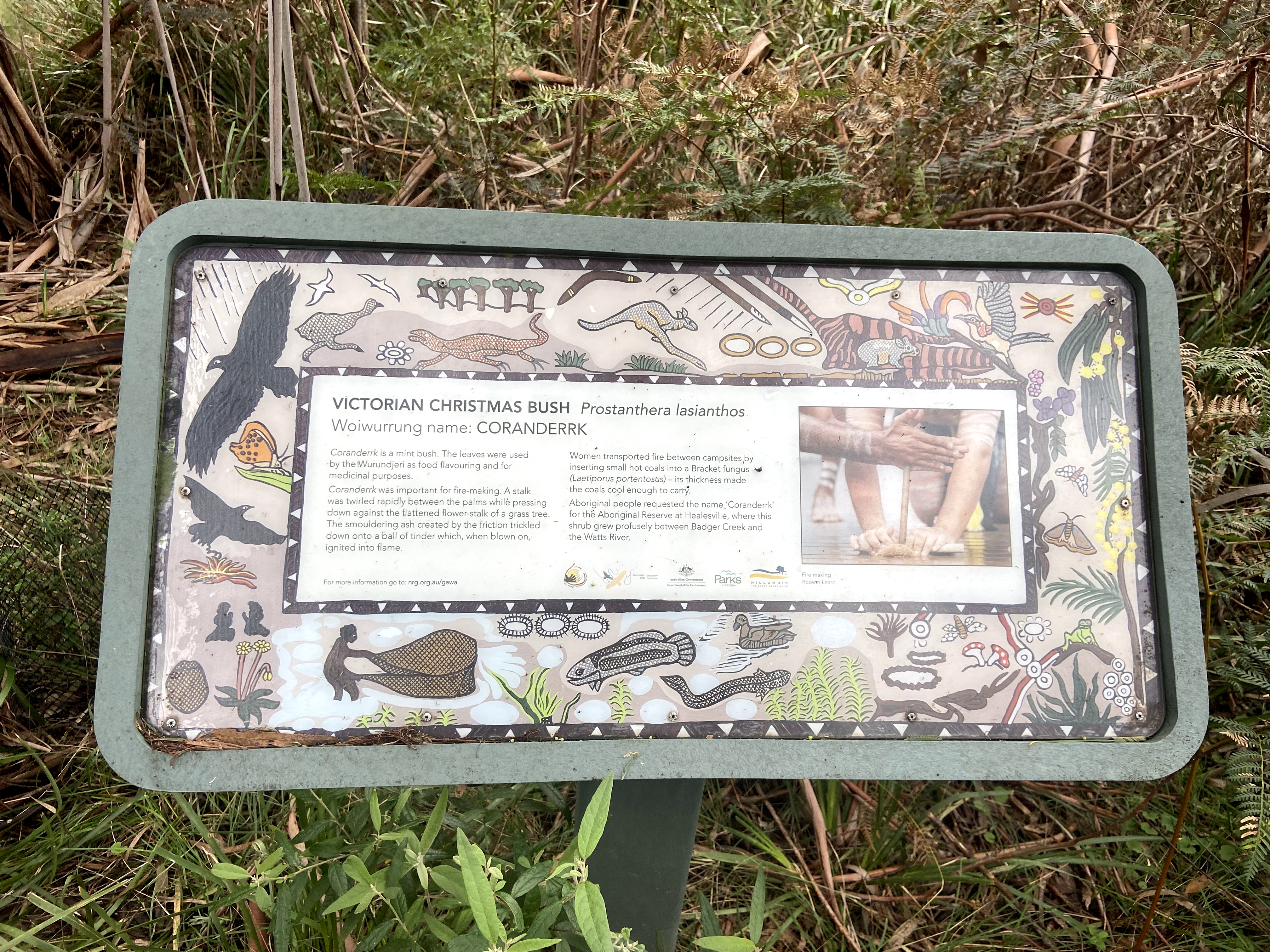 Gawa Reserve (Watsons Creek)