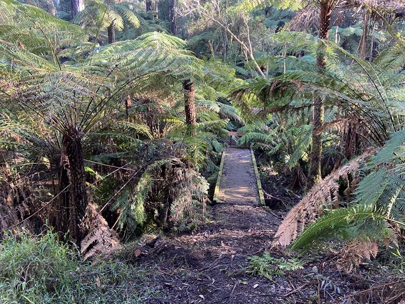 Gembrook Park Flora and Fauna Reserve