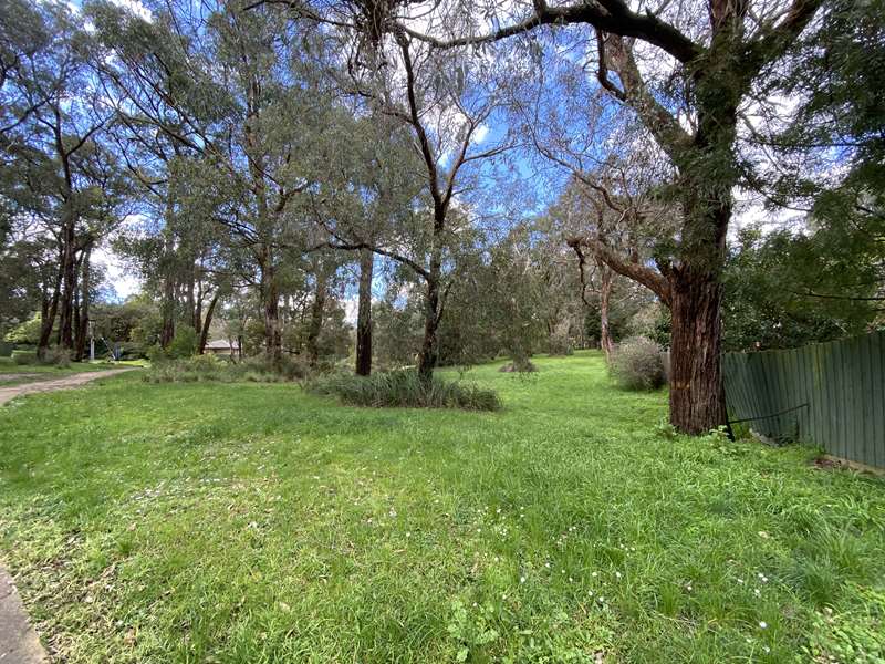 George Grument Reserve Dog Off Leash Area (The Basin)