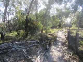 George Street Reserve Dog Off Leash Area (Sandringham)