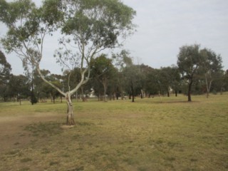 Gilpin Park Dog Off Leash Area (Brunswick)