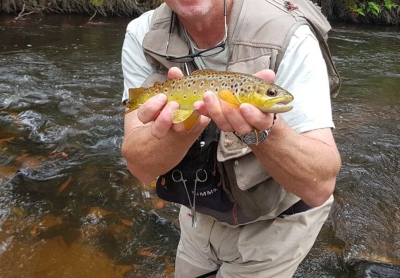 Gippsland Fly Fishing