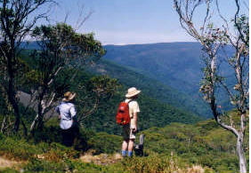 Bruthen - Gippsland High Country Tours