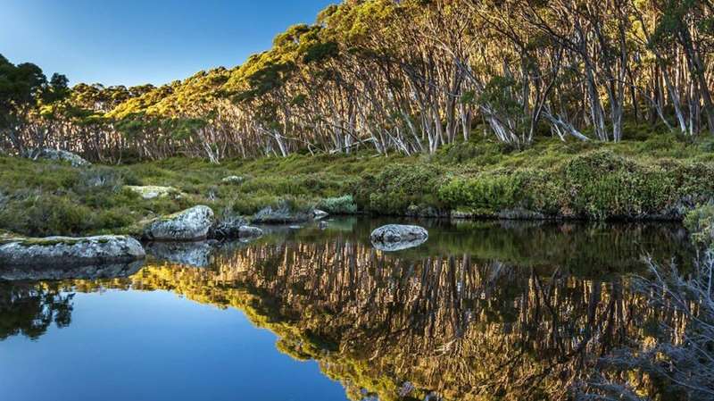 Traralgon - Gippsland Photo Tours & Workshops