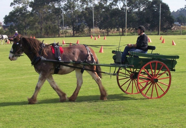 Gippsland Pleasure Harness Society (Catani)