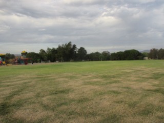 Gladeswood Reserve Dog Off Leash Area (Mulgrave)