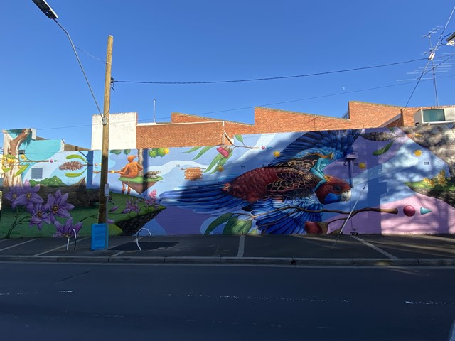 Glen Eira Street and Public Art