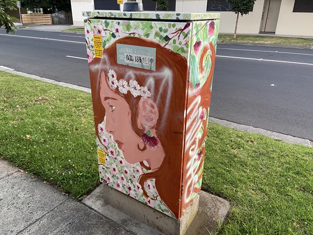 Glen Eira Street and Public Art