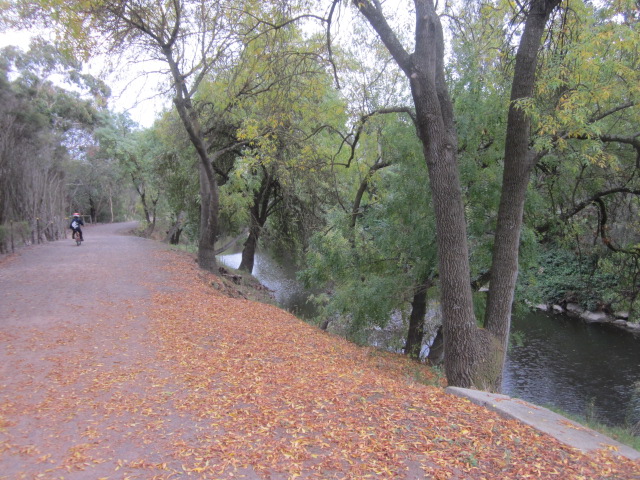 Glen Iris Park Wetlands (Glen Iris)