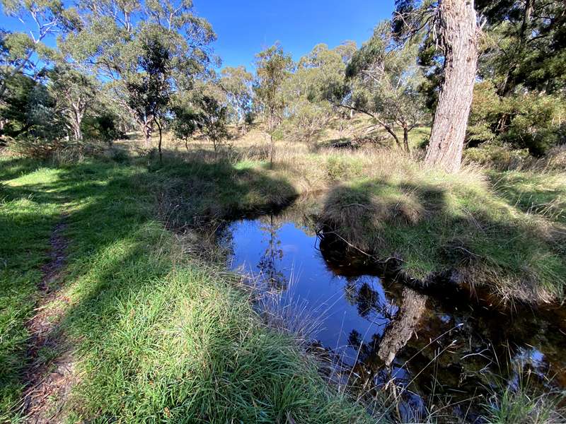 Glenlyon - Biolink Walk