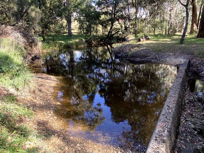 Glenlyon - Biolink Walk
