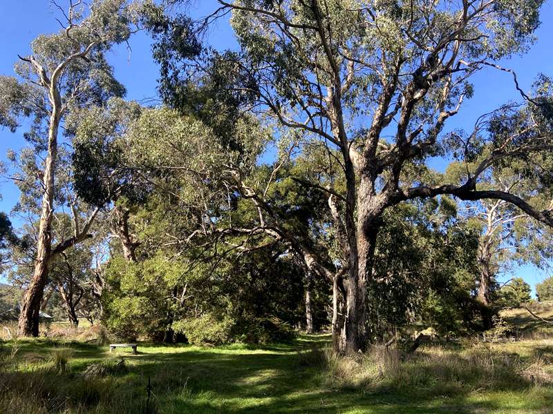 Glenlyon - Biolink Walk