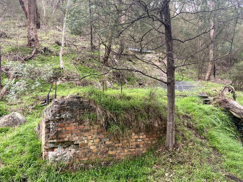 Gold Heritage Walk (Warrandyte)