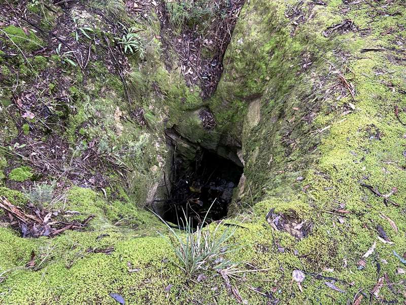 Gold Heritage Walk (Warrandyte)