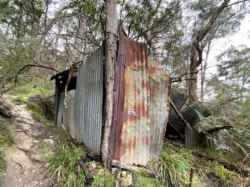 Gold Heritage Walk (Warrandyte)