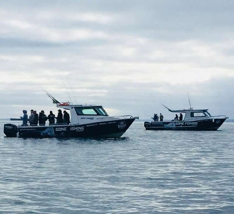 Gone Fishing Charters (Queenscliff)