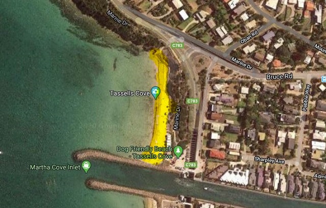 Tassells Cove dog beach