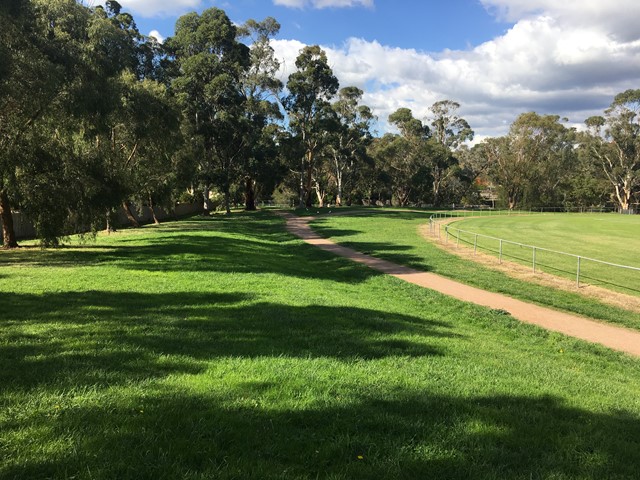 Gracedale Park Dog Off Leash Area (Ringwood East) - Maroondah Council Dog Off Leash Areas - Dog